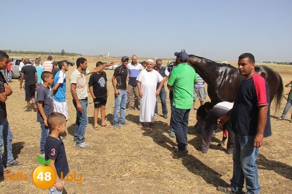 horse race 0602 (56).JPG